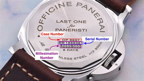 panerai serial number lookup